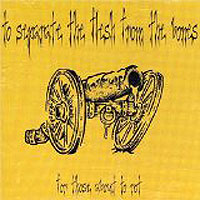 separate_flash_bones