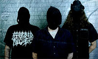 separate_flash_bones2