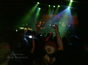 TAVASTIA40